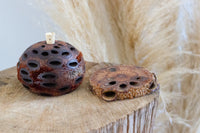 aroma banksia pod diffuser