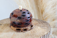 mini aroma banksia pod diffuser