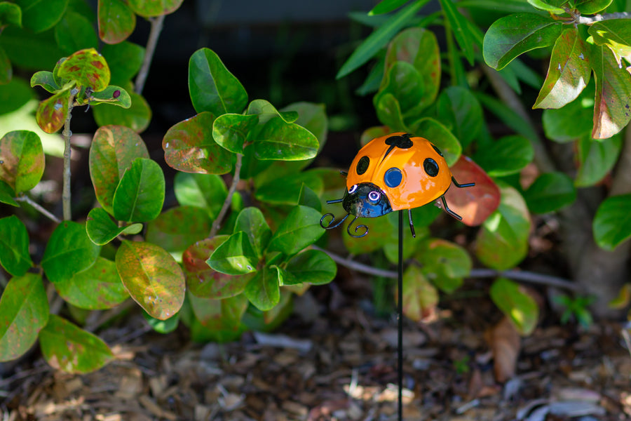 orange metal ladybug garden stakes
