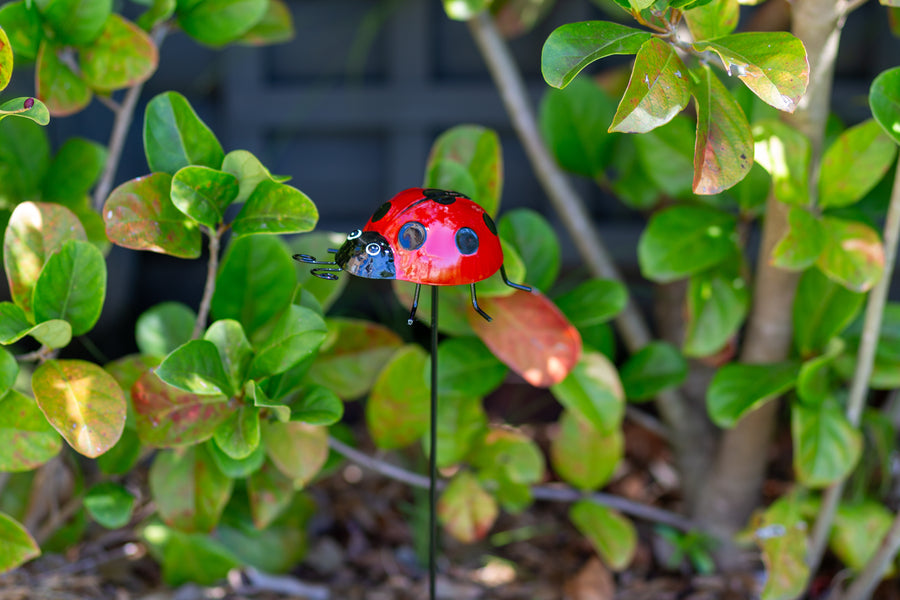 red metal ladybug garden stakes