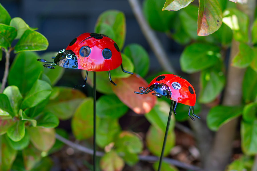 red metal ladybug garden stakes