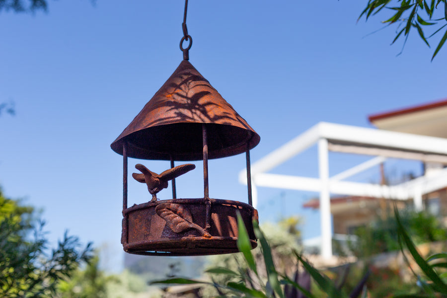 bird feeder house