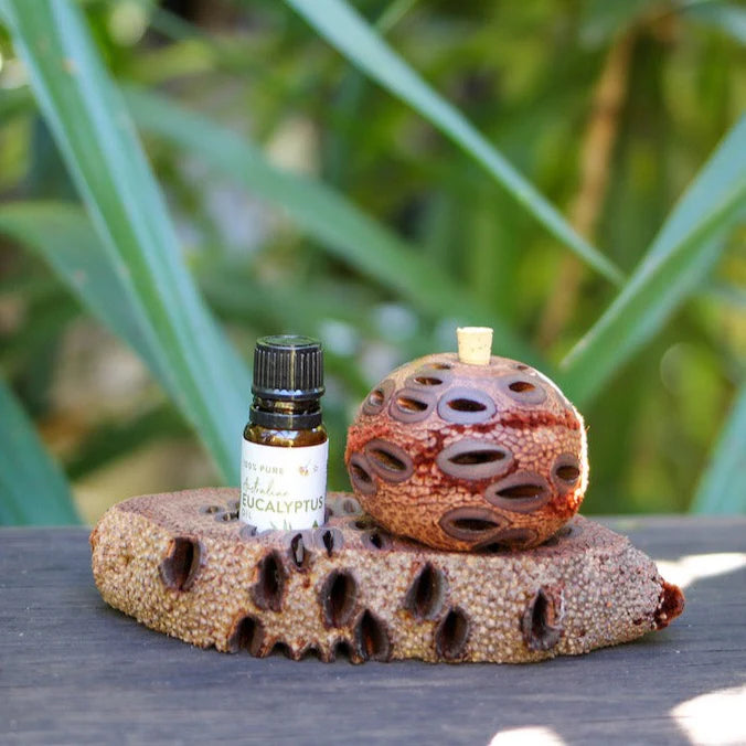 Aroma Banksia Pod and Oil Stand