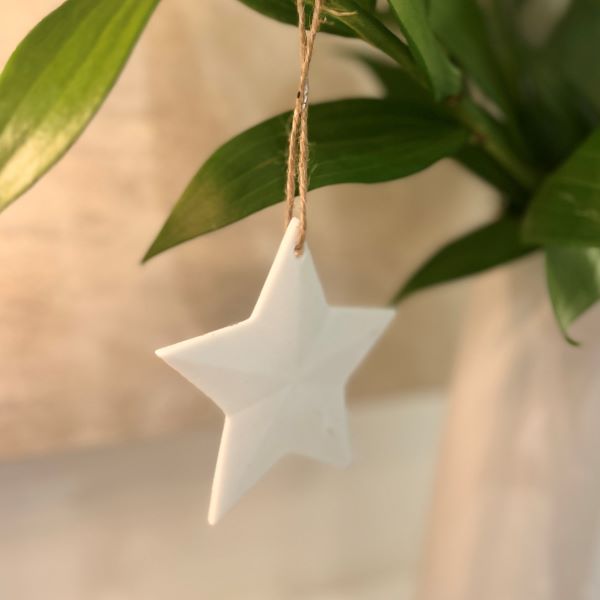 Lucia Hanging Star