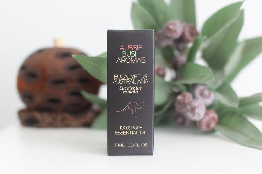 Australian Essential Oils - Eucalyptus Australiana