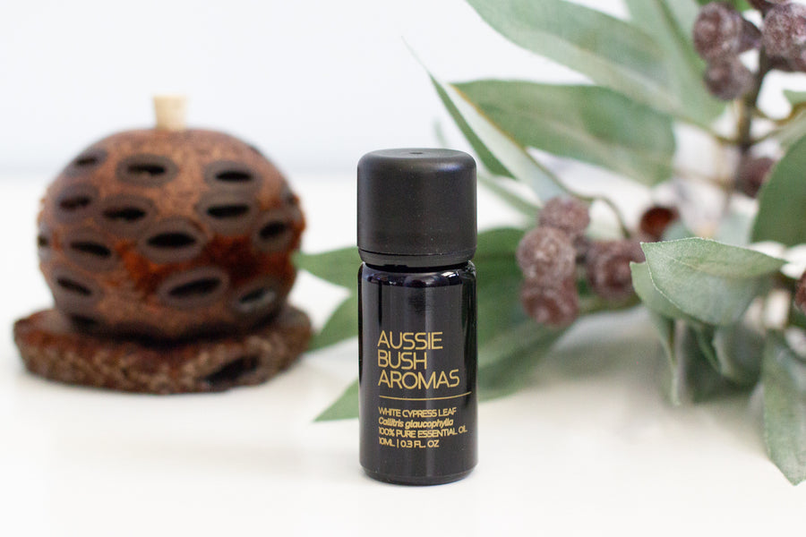 Australian Essential Oils - White Cypress